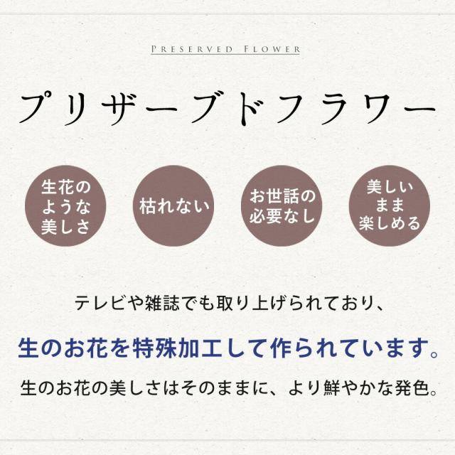 翌日配達 お供え 枯れない 花 プリザーブドフラワー 仏花 『Priere プリエ—ル ー 祈り』３カラー お悔やみ 仏壇用 大きめ ブリザードフラワー お供え花 プリザーブド 法事 命日 一周忌 三回忌 四十九日 法要 お花 喪中見舞い 喪中 お見舞い お彼岸_2