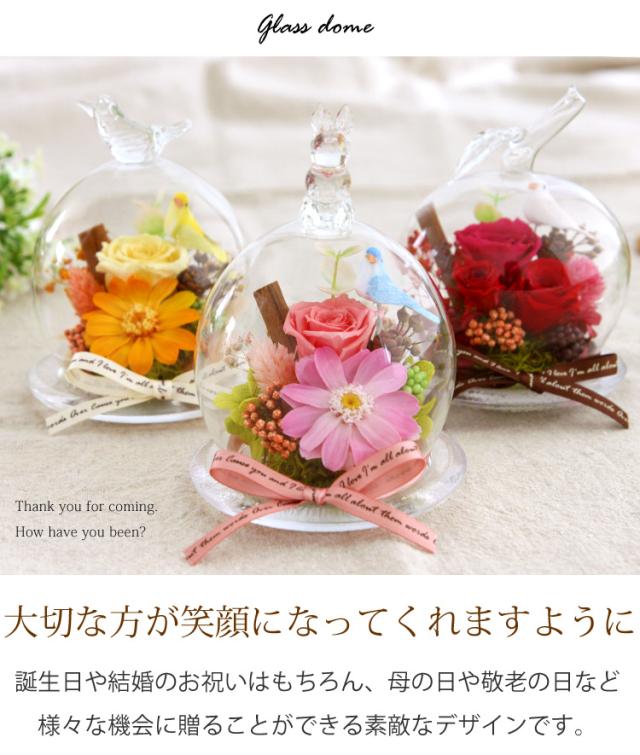 プリザーブドフラワー 送料無料 幸運のモチーフ付 ガラスドーム 選べる3種 おしゃれ 花 プレゼント 誕生日プレゼント 女性 母 友達 結婚の通販はau Pay マーケット フラワーマーケット花由 プリザーブドフラワー 送料無料 幸運のモチーフ付 ガラスドーム 選べる3種 おしゃれ 花 プレゼント 誕生日プレゼント 女性 母 友達 結婚の通販はau Pay マーケット フラワーマーケット花由