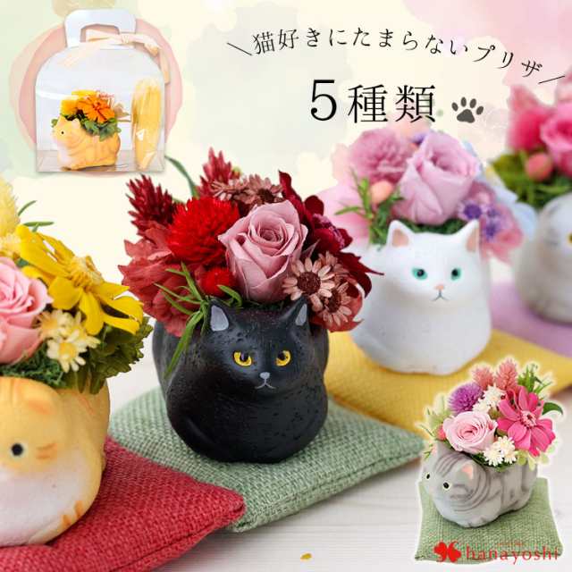 プリザーブドフラワー 和風 くつろぎねこ〜4種類 猫 花 プレゼント