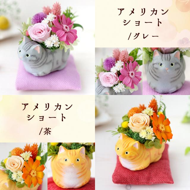 猫とプリザーブドフラワー プリザーブドフラワー 和風 くつろぎねこ 5種類 猫 ネコ お祝い お花