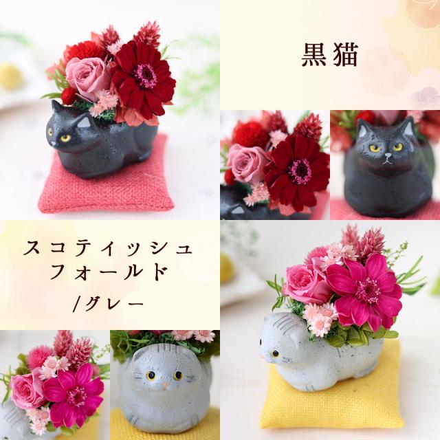 プリザーブドフラワー 和風 くつろぎねこ 5種類 猫 ネコ お祝い お花