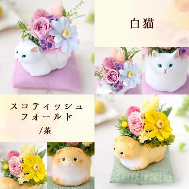 プリザーブドフラワー 和風 くつろぎねこ 5種類 猫 ネコ お祝い お花