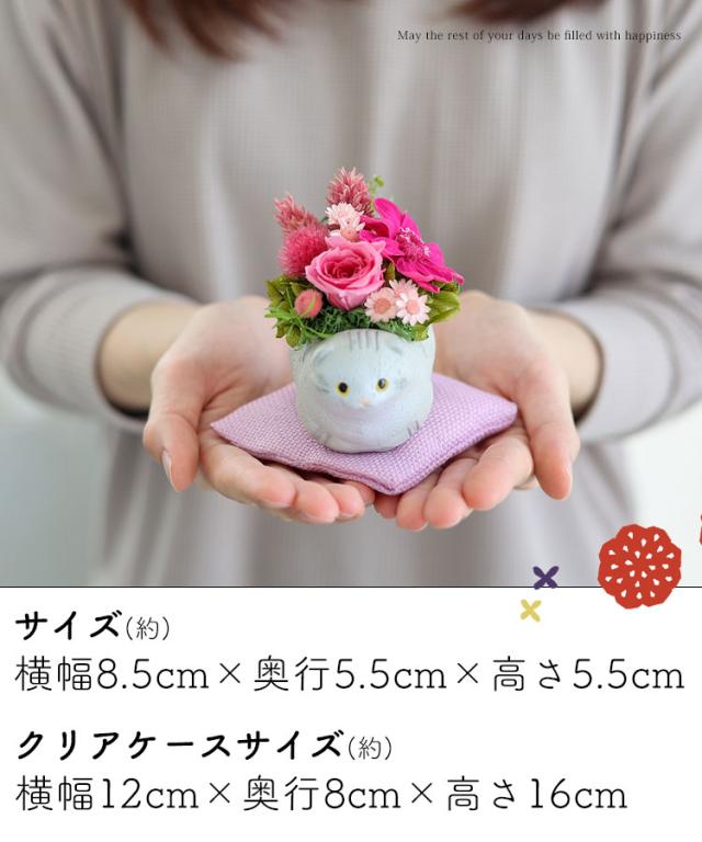 プリザーブドフラワー 和風 くつろぎねこ 5種類 猫 ネコ お祝い