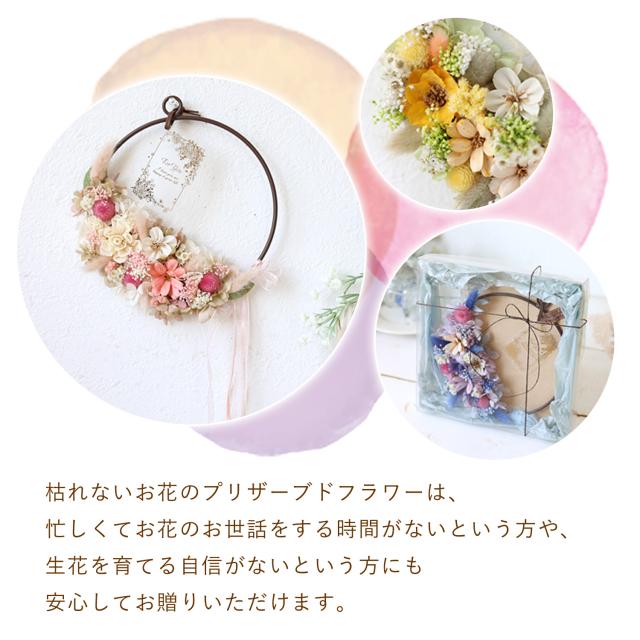 ドライフラワーリース　プリザーブドフラワー　プレゼント　インテリア リース プリザードフラワー リングフラワー エール SU.fleur ドライ