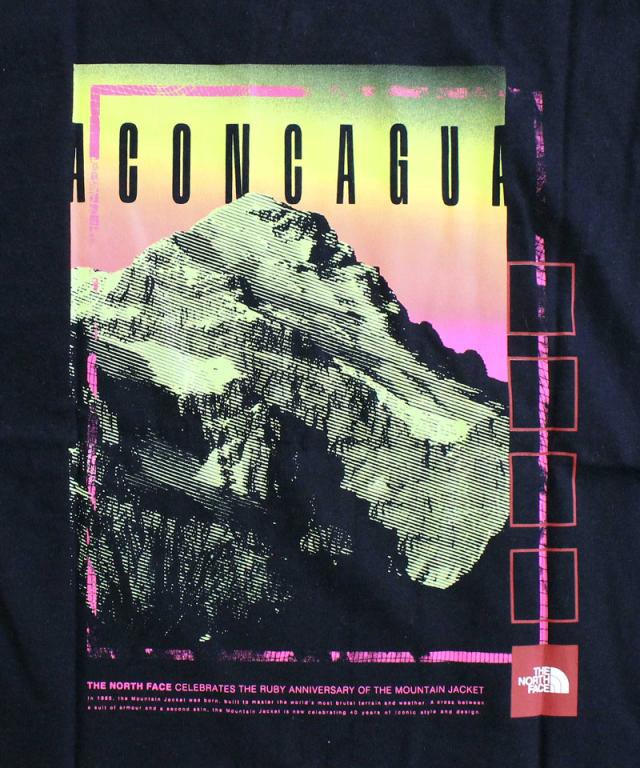 送料無料 THE NORTH FACE ザ ノースフェイス レッドボックス アコンカグア ヘビーウエイトTシャツ M S/S RED BOX ACONCAGUA HEAVYWEIGHT TEE NF0A8BY9 メンズ ブランド ゆうパケ