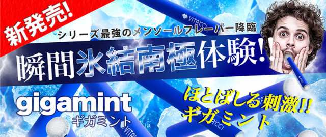 送料無料 ポイント10％ ビタッチ 正規品 7種類 水蒸気スティック 電子