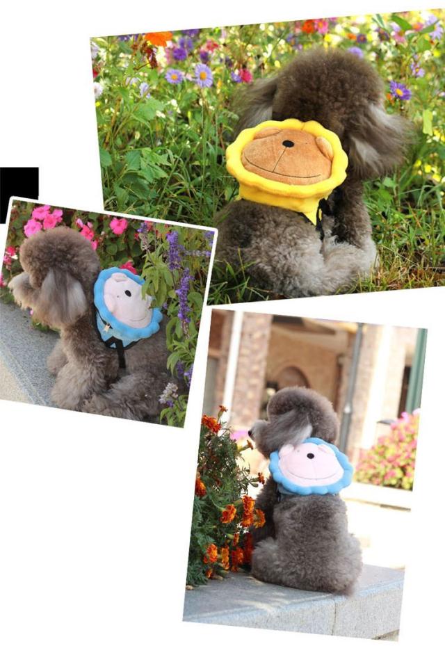 リュック付きハーネス リード付き 2点セット 犬用 リュックハーネス リュックサック バックパック ハーネス 胴輪 散歩紐 牽引の通販はau Pay マーケット プラスナオ