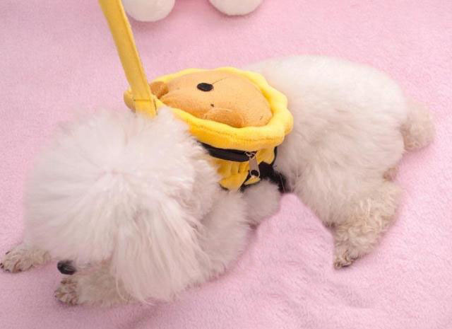 リュック付きハーネス リード付き 2点セット 犬用 リュックハーネス リュックサック バックパック ハーネス 胴輪 散歩紐 牽引の通販はau Pay マーケット プラスナオ