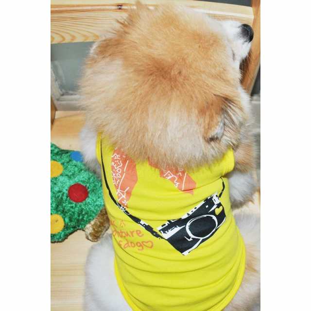 Tシャツ 犬服 ドッグウェア ドッグウエア プリントtシャツ ノースリーブ タンクトップ カメラ バンダナ の通販はau Pay マーケット プラスナオ