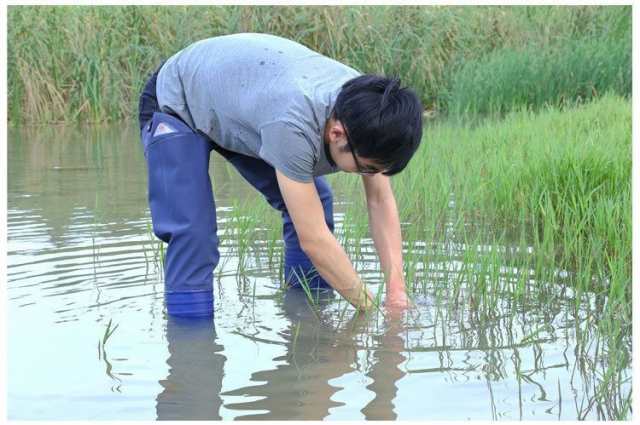 ヒップブーツ ヒップウェーダー ヒップウエイダー 田植え用長靴 釣り用長靴 田靴 フィッシングロングブーツ 超ロング丈 の通販はau PAY  マーケット - プラスナオ