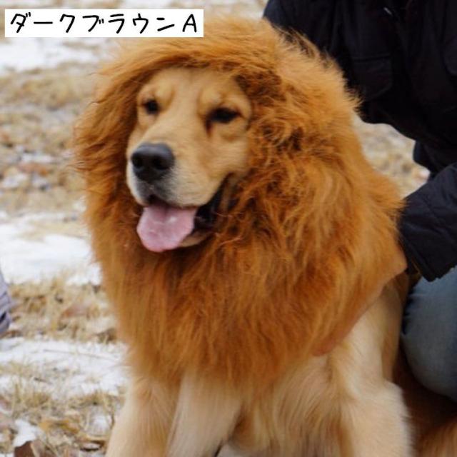 ペット用かつら ペット用ウィッグ ペット コスプレ 仮装 イベント ハロウィン パーティー 犬 イヌ ワンちゃん 可愛い かわいの通販はau Pay マーケット プラスナオ