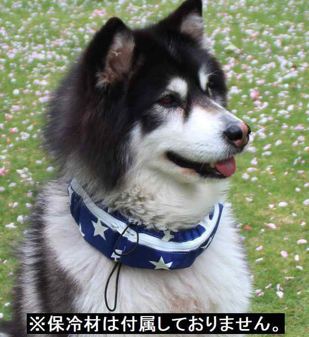 ネッククール 犬 イヌ ワンちゃん ペット用 ネッククーラー Coolスカーフ 防水 暑さ対策 熱中症予防 首に巻くだけ クールの通販はau Pay マーケット プラスナオ