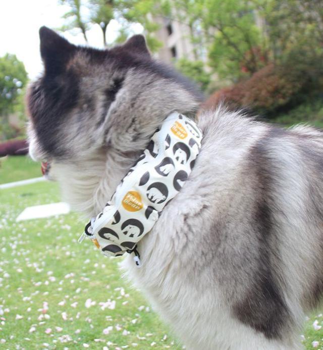犬用首クール ネッククール 犬 イヌ ワンちゃん ペット用 ネッククーラー Coolスカーフ 防水 暑さ対策 熱中症予防 首に巻の通販はau Pay マーケット プラスナオ
