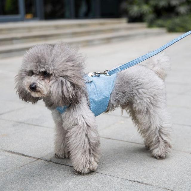 ハーネスリード ハーネス ペット用品 小型犬 かわいい 女の子 男の子 メッシュ 通気性 うさ耳 猫柄 フリル おしゃれ リードの通販はau Pay マーケット プラスナオ