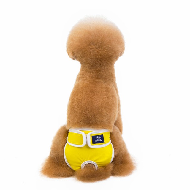 犬用サニタリーパンツ マナーパンツ 生理用ショーツ サニタリーショーツ ペット用品 犬 犬用 わんこ用 グリーン ブルー イエロの通販はau Pay マーケット プラスナオ