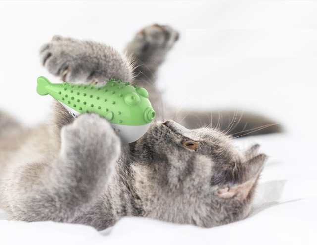 猫のおもちゃ おやつボール エサ入れ 魚 猫用品 猫グッズ ストレス解消グッズ 噛みグッズ 噛むおもちゃ 歯磨き 小物 雑貨の通販はau Pay マーケット プラスナオ