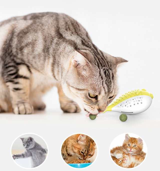 猫のおもちゃ おやつボール エサ入れ 魚 猫用品 猫グッズ ストレス解消グッズ 噛みグッズ 噛むおもちゃ 歯磨き 小物 雑貨の通販はau Pay マーケット プラスナオ