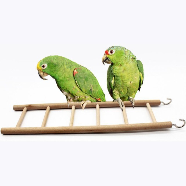鳥用おもちゃ 小動物 はしご 止まり木 オウム インコ 鳥 小鳥 ストレス解消 通販
