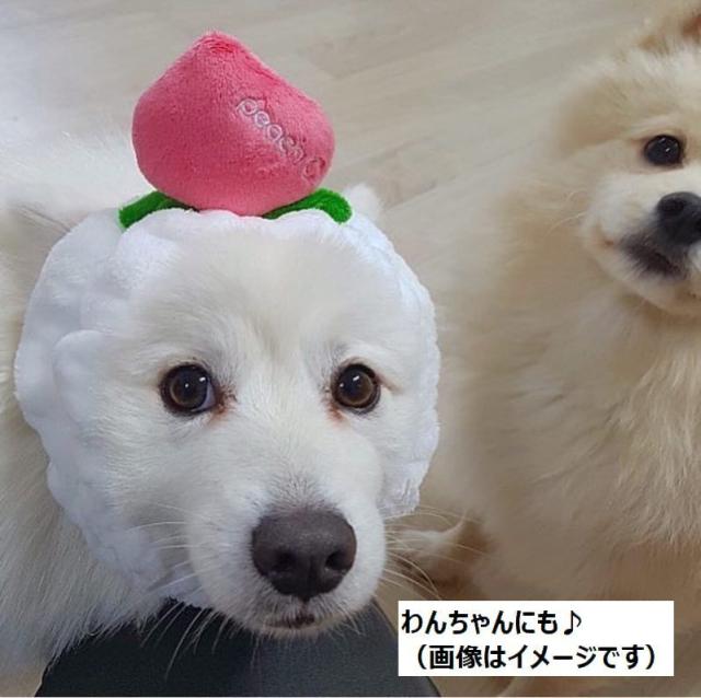 ヘアバンド ヘアアクセサリー レディース 女性用 ターバン まとめ髪 桃 ピーチ バスタイム お風呂 洗顔 おウチ時間 リラックの通販はau Pay マーケット プラスナオ