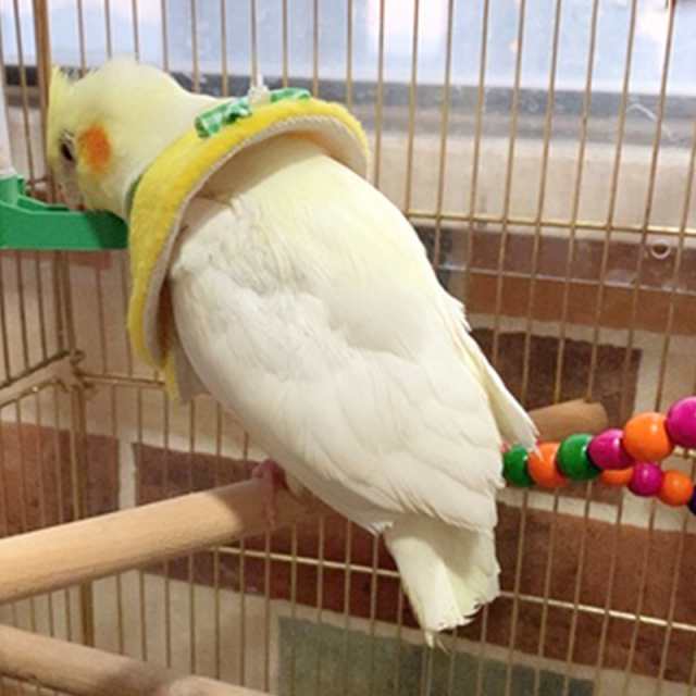 エリザベスカラー 鳥用 オウム セキセイ インコ ハト ペット用品 ペットグッズ 羽根抜き防止 マント ピンク ブルー イエローの通販はau Pay マーケット プラスナオ