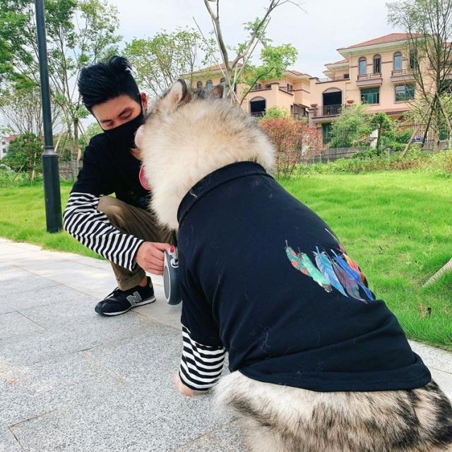 ペットウェア ペット服 ドッグウェア Tシャツ ペットとお揃い