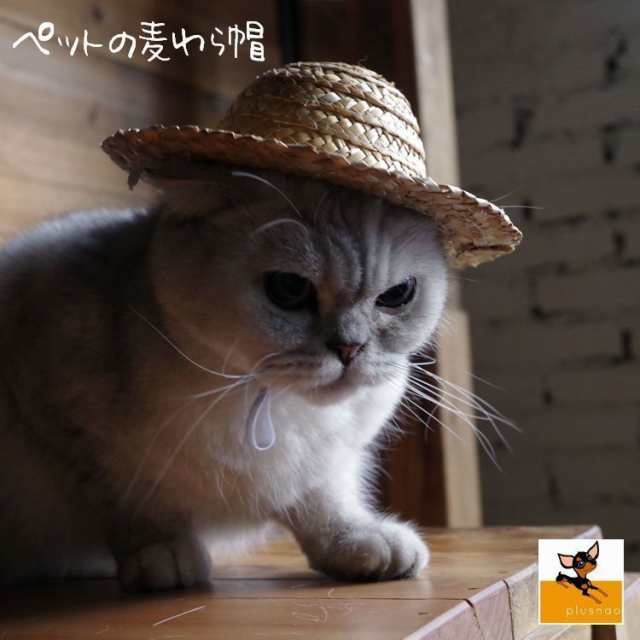 ペット用品 猫ハット 帽子 麦わら帽子 かぶりもの ネコ コスプレ Cat イヌ 犬 紫外線対策 ねこ おもちの通販はau Pay マーケット プラスナオ