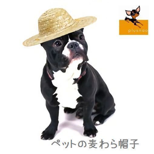 麦わら帽子 ストローハット ペット用 犬用 猫用 ぼうし あご紐付き 顎ヒモ 顎ひも 夏 おしゃれ 可愛い かわいい 小型犬 中の通販はau Pay マーケット プラスナオ