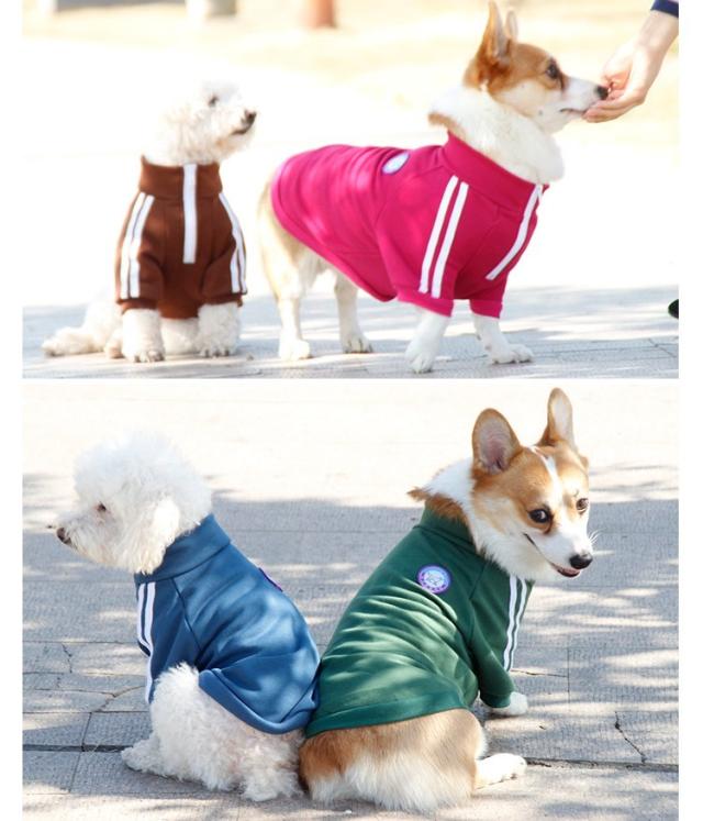 ジャージ ペット服 L 3xl 小型犬 中型犬 ペット用品 わんちゃん用 犬用品 ドッグウェア 袖あり ハイネック スポーティの通販はau Pay マーケット プラスナオ