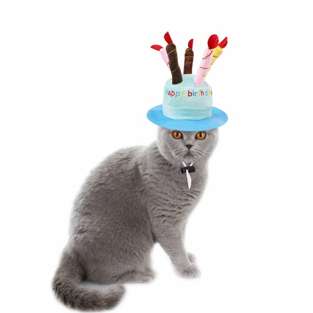 LEDMOMO ペット ハロウィン 物足りなく 帽子 猫 誕生日 帽子 犬