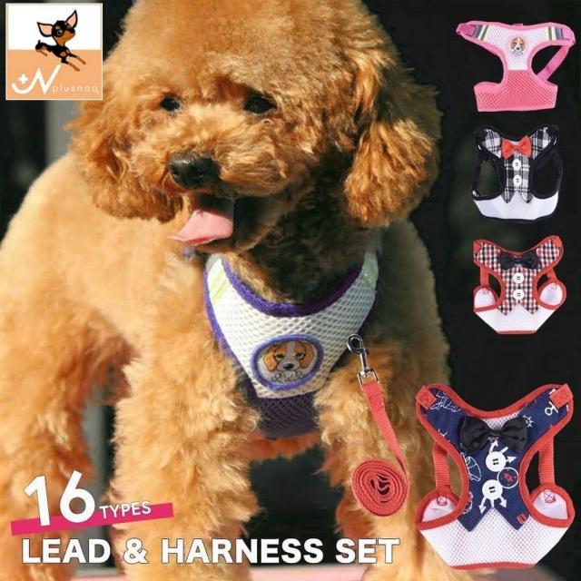 犬用 リード ハーネス2点SET犬用 リード＆ハーネス2点SET❣️