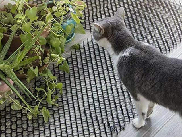 猫よけシート トゲトゲ とげとげ マット 野良猫対策 イタズラ防止 カット可能 猫除け 猫避け とおせんぼ ガーデニング 天丼 の通販はau PAY マーケット - プラスナオ 通販サイト