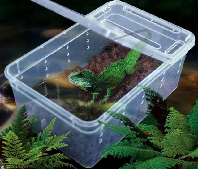 飼育ケース 飼育ケージ 爬虫類用 両生類用 クリアケース 透明 カメ 亀