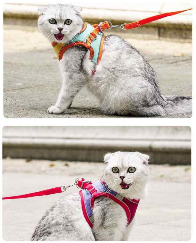 ハーネス リード セット 猫 小型犬 ベスト型 胴輪 リーシュ キャット ドッグ ペットグッズ お出掛け お散歩 通院 スウェー 割引価格の商品  oticavoluntarios.com.br