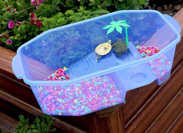 亀用飼育ケース 中サイズ 大サイズ ペット用品 カメ 水槽 飼育ケージ