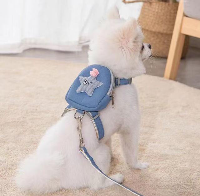 ハーネス リード セット 小型犬 猫 リュック付 胴輪 リーシュ お散歩