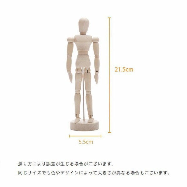 Amazon.co.jp: 解剖学モデル スケルトン モデル ヒューマン