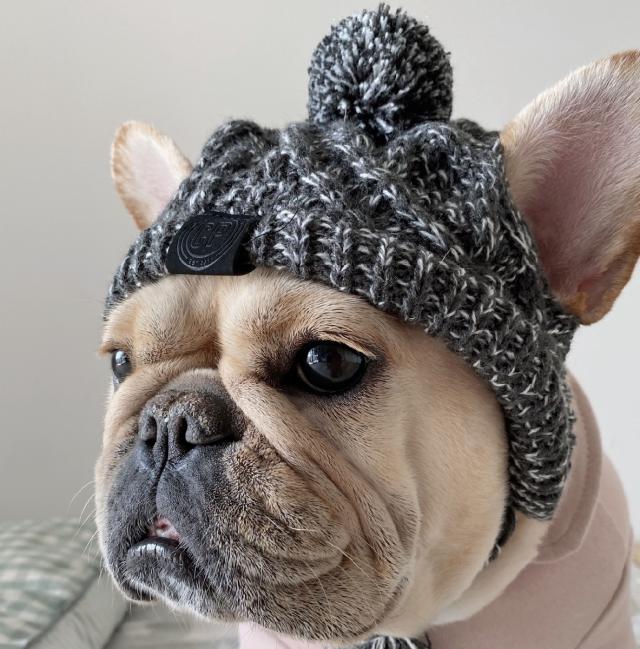 ペット　ニット帽　マフラー　犬　猫　帽子　靴下　靴　キャスケット　毛糸　キャップ plusnao ペット帽子 ニット帽 ニットキャップ 犬 猫 ペット 帽子