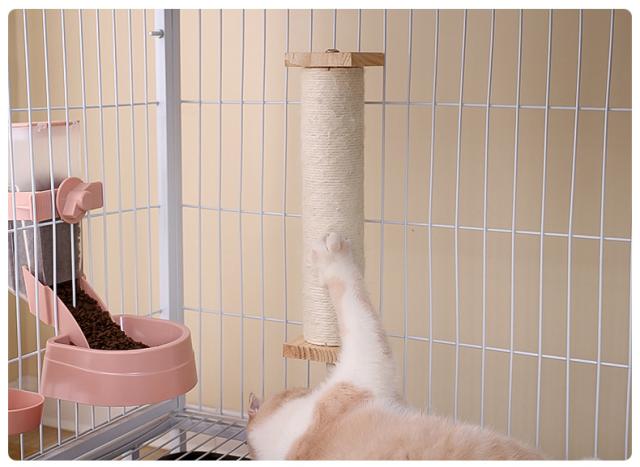 爪とぎ 猫用 ペット用 ケージ取り付け つめとぎ 爪ケア お手入れ 爪 