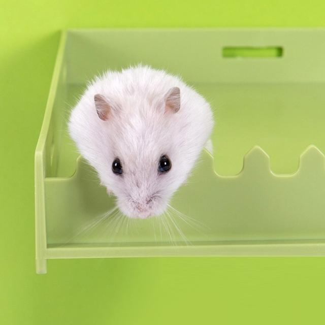 ハムスターハウス ハムスターロフト ハムスター ハムスター ハウス