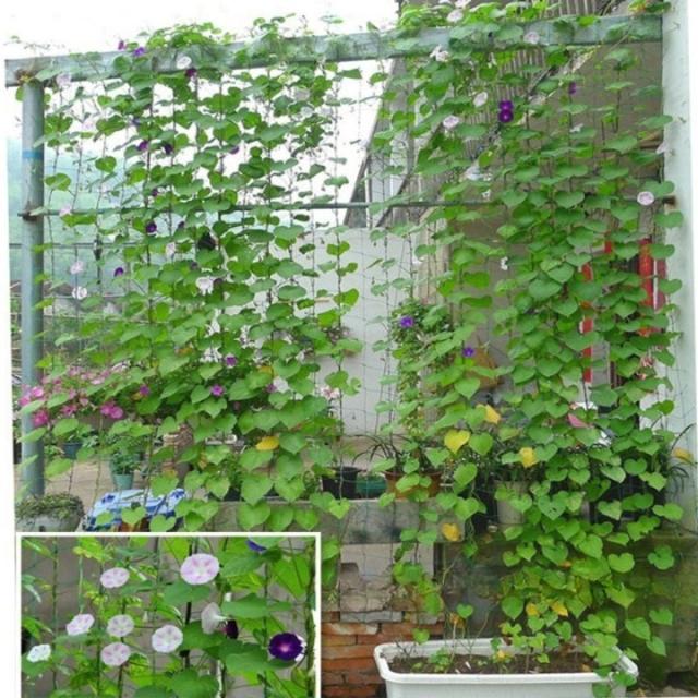 園芸ネット 1.8m×1.8m マルチネット 万能ネット 園芸用品 つる