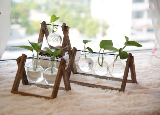 フラスコ型ガラス花瓶・フラワースタンド　多肉植物 71uMFeqn2EL._AC_UF894,