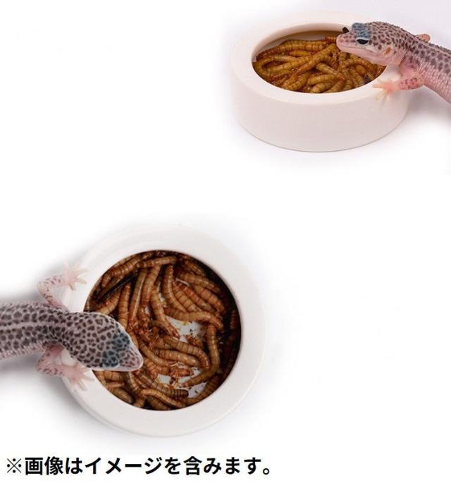 エサ入れ 餌入れ 水入れ M L 爬虫類 両生類 陶器 逃げ防止 返し エサ皿