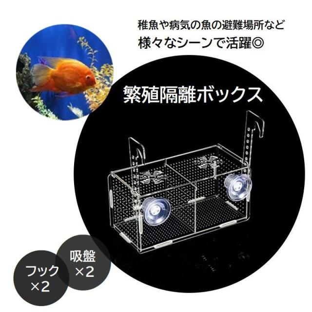 繁殖隔離ボックス 産卵ケース ダブル 吸盤 フック 水槽内隔離 