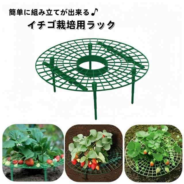 イチゴ栽培用ラック いちごスタンド イチゴ支え棚 いちご支柱
