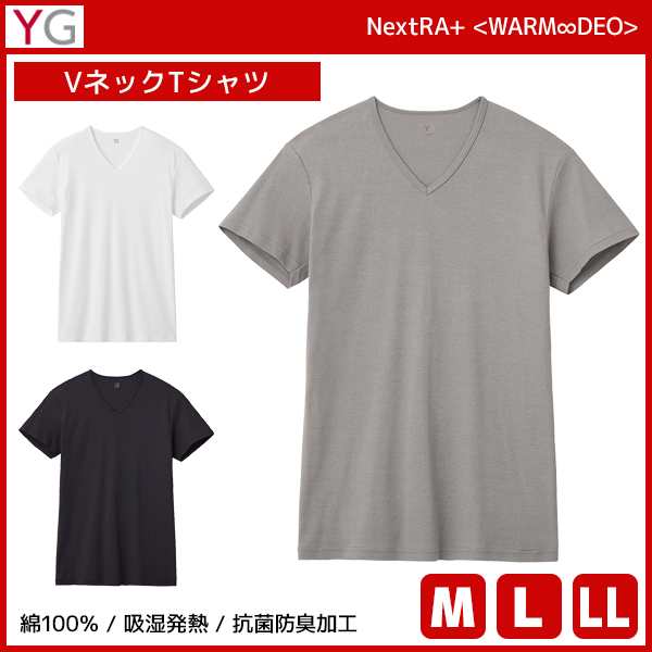 YG ワイジー WARMDRY VネックTシャツ 綿100% インナー グンゼ GUNZE