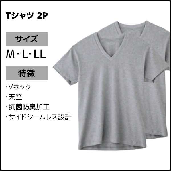 BODYWILD ボディワイルド VネックTシャツ 半袖V首 2枚組 グンゼ GUNZE