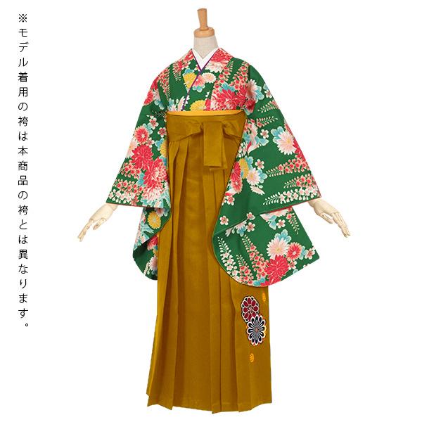 中古品】袴セット レディース 卒業式 「二尺袖：緑 菊と藤の花+袴：金