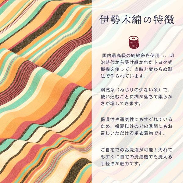 伊勢木綿 洗える着物 単品 「やたら縞 マルチストライプ」 お仕立て上がり 木綿きもの 日本製 三重県 伝統工芸品 単衣 綿 カジュアル ストライプ 小紋 レディース キモノ kimono 【メール便不可】_4