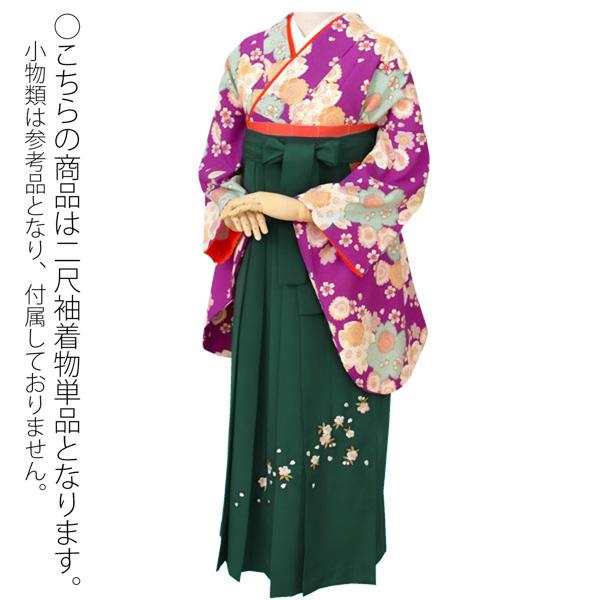 中古品)二尺袖 単品「赤 桜 友禅調糸目の風」貸衣装処分 レンタル処分