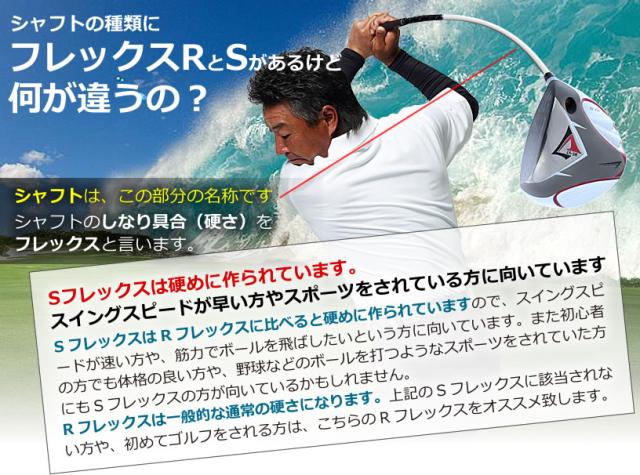 ワールドイーグル 5Z ドライバー ブラック ルール適合モデル